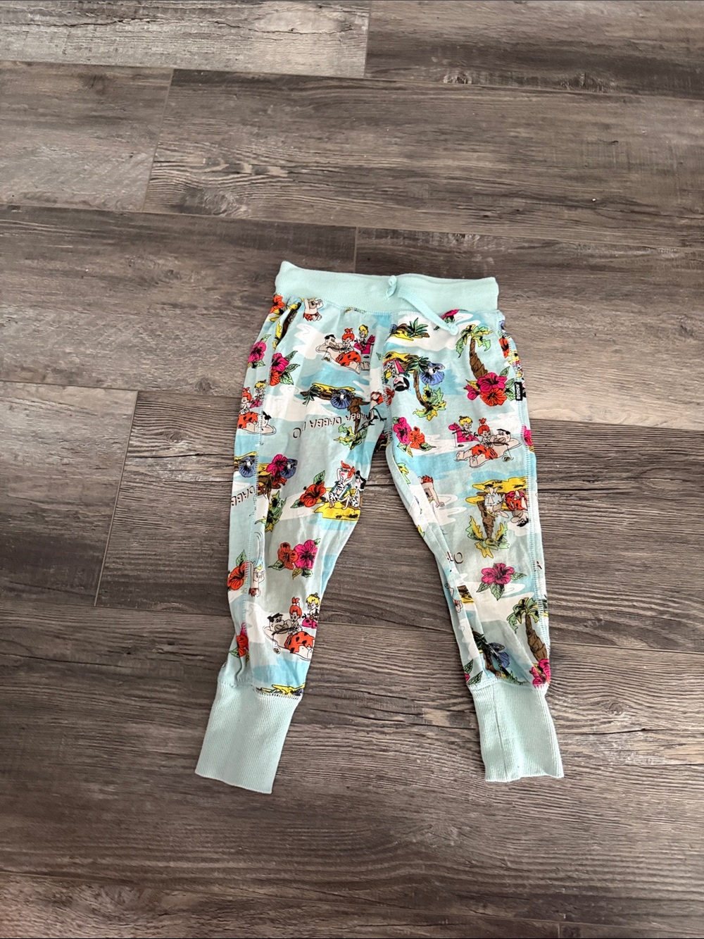 Bonds Flinstones Light Aqua Floral & Novelty Kids Joggers